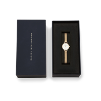 Orologio Daniel Wellington Donna PETITE MINI in Acciaio DW00100745 - DW00100745